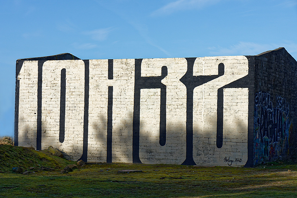 DSC_6528_DxO.jpg