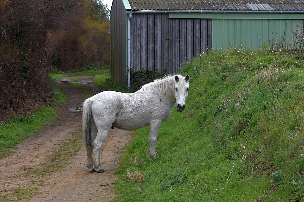 DSC_1055.jpg