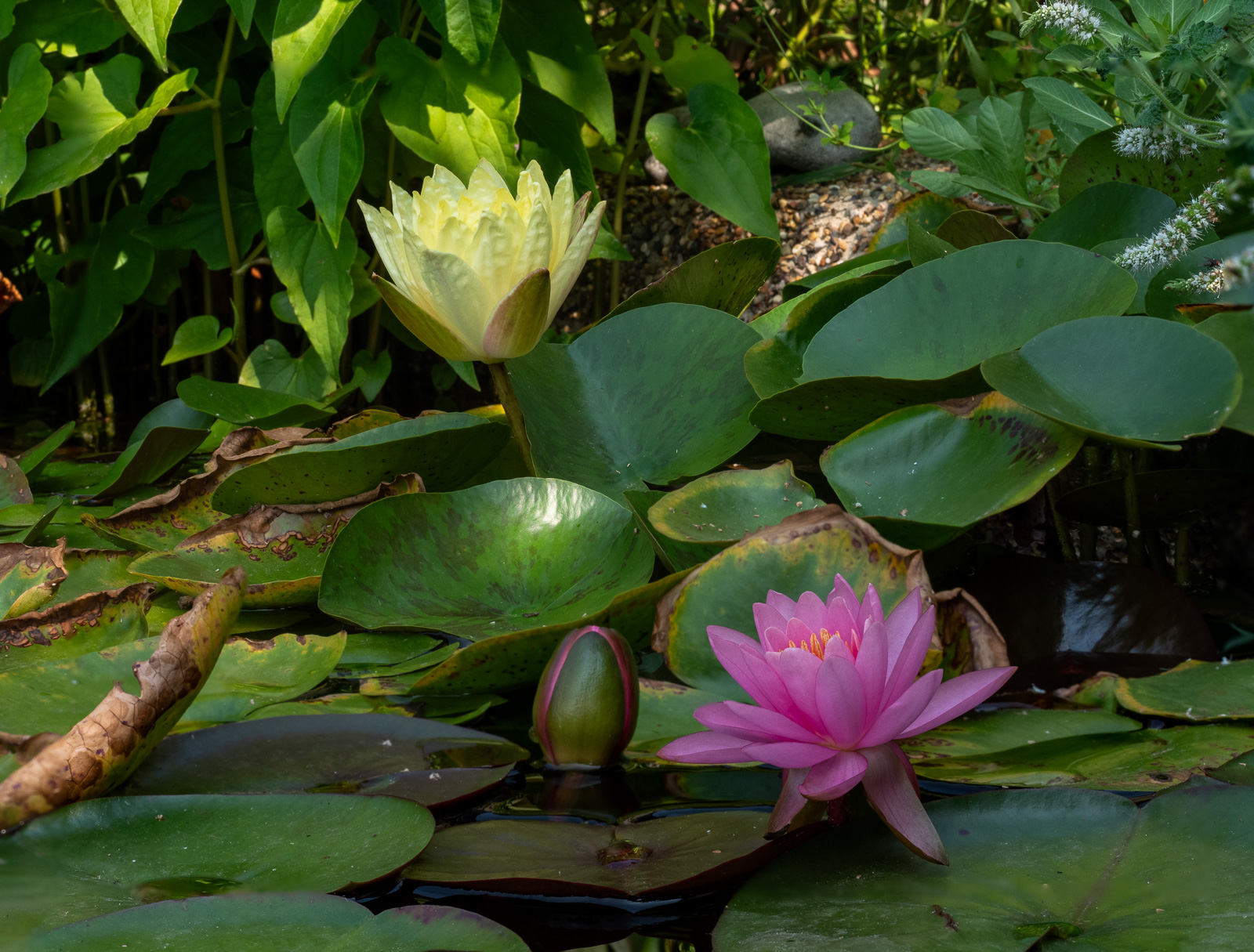 P2007227-Modifier.jpg
