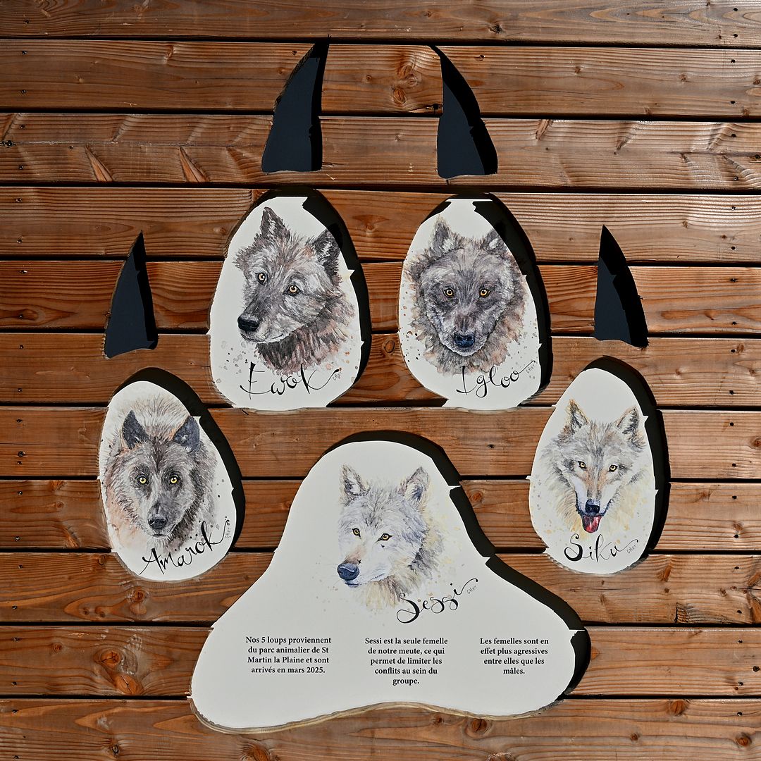 BLK_3900 Espace Rambouillet noms des loups-1080.jpg