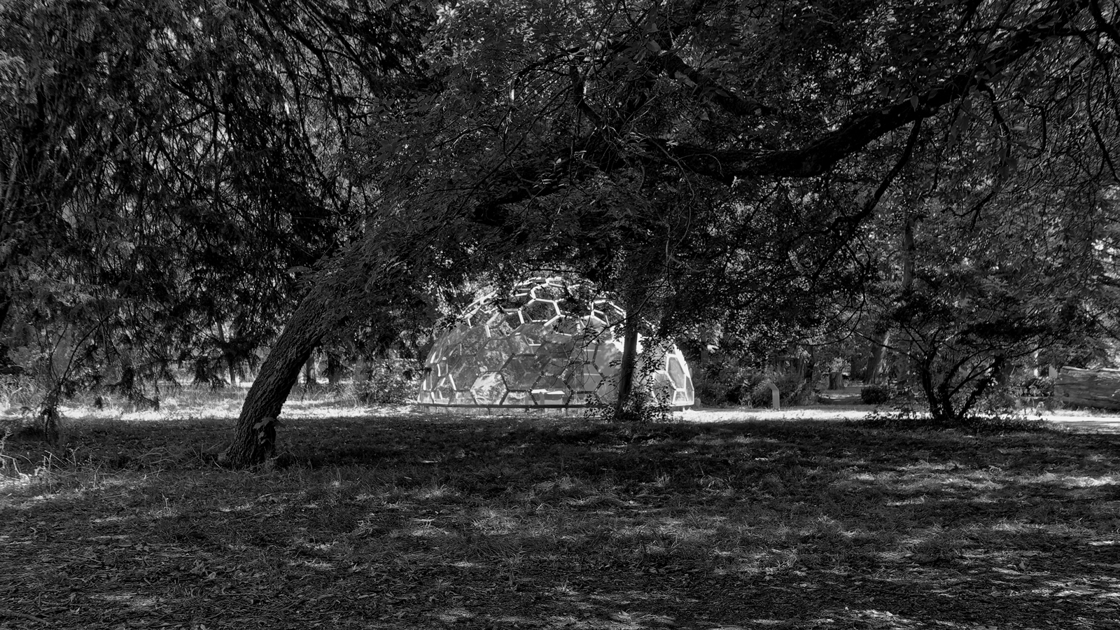 P1002312_Nik_DxO.jpg
