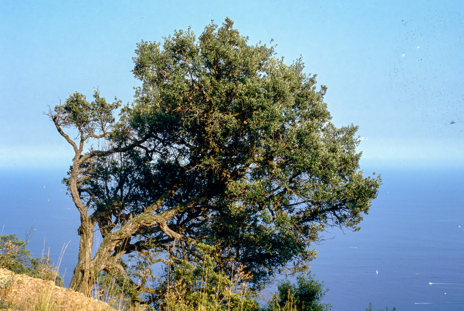 Diapo_00318-DN.jpg