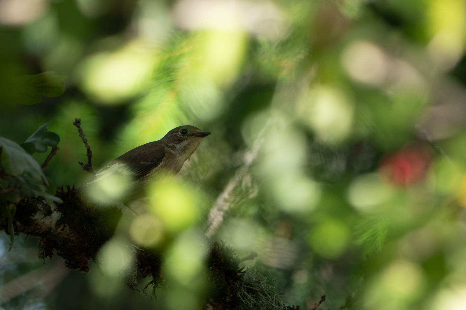 P2007739.jpg