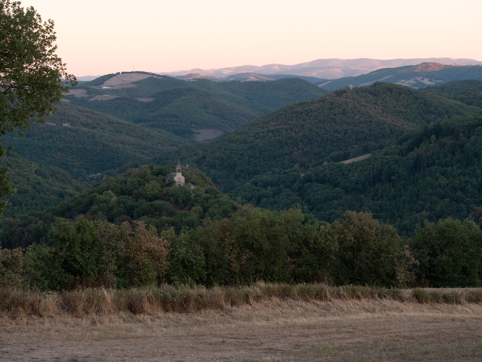 P2007687-2.jpg