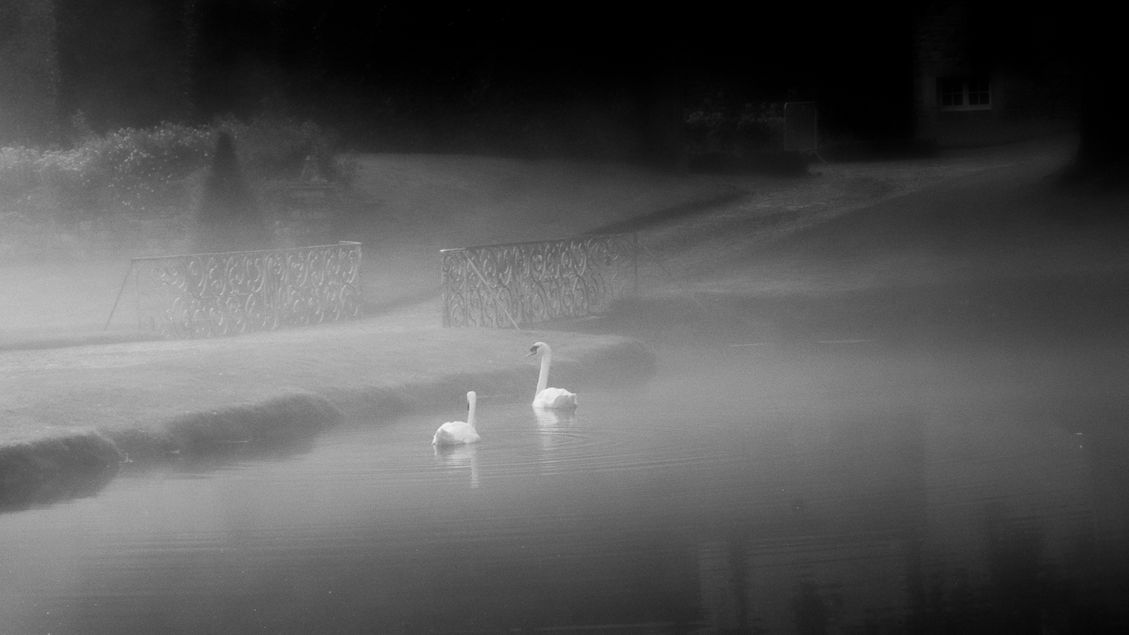 P8080305_Mist-Modifier.jpg