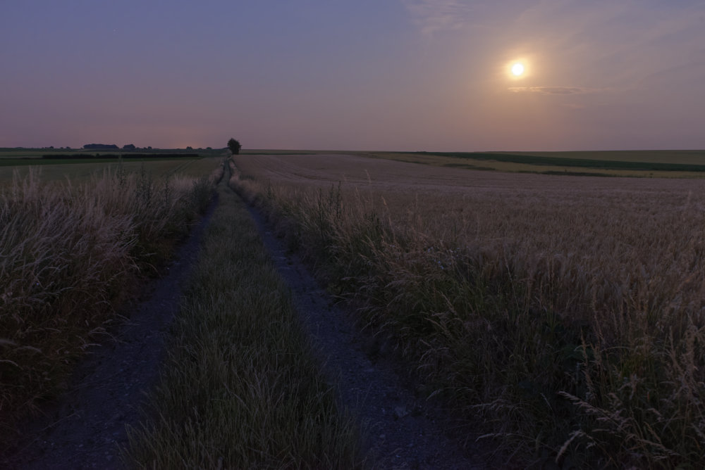 _DSC9846_DxO.jpg