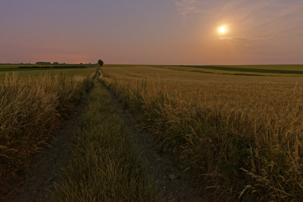 _DSC9846_DxO.jpg