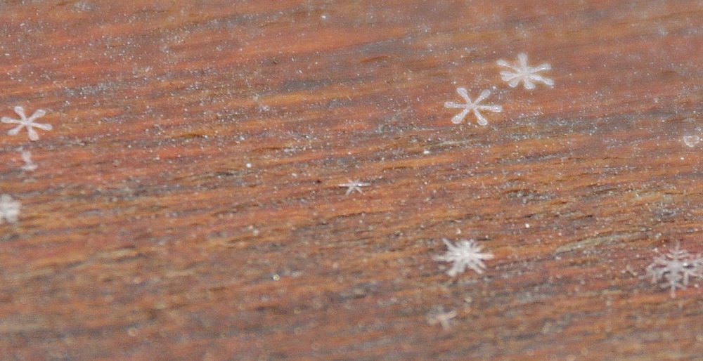 -T----- --S ---G--, M-- ---U- -------X.JPG