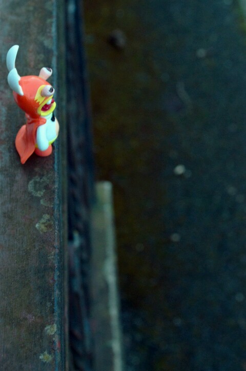 DSC_0678-480x722.jpg