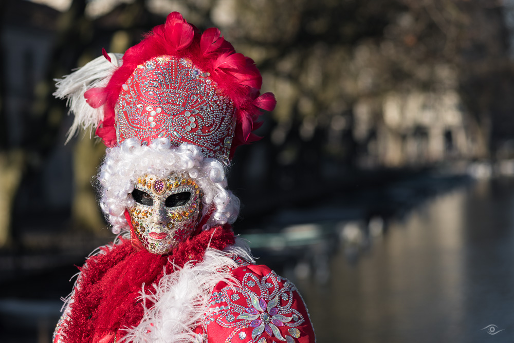 _DSC7524.jpg