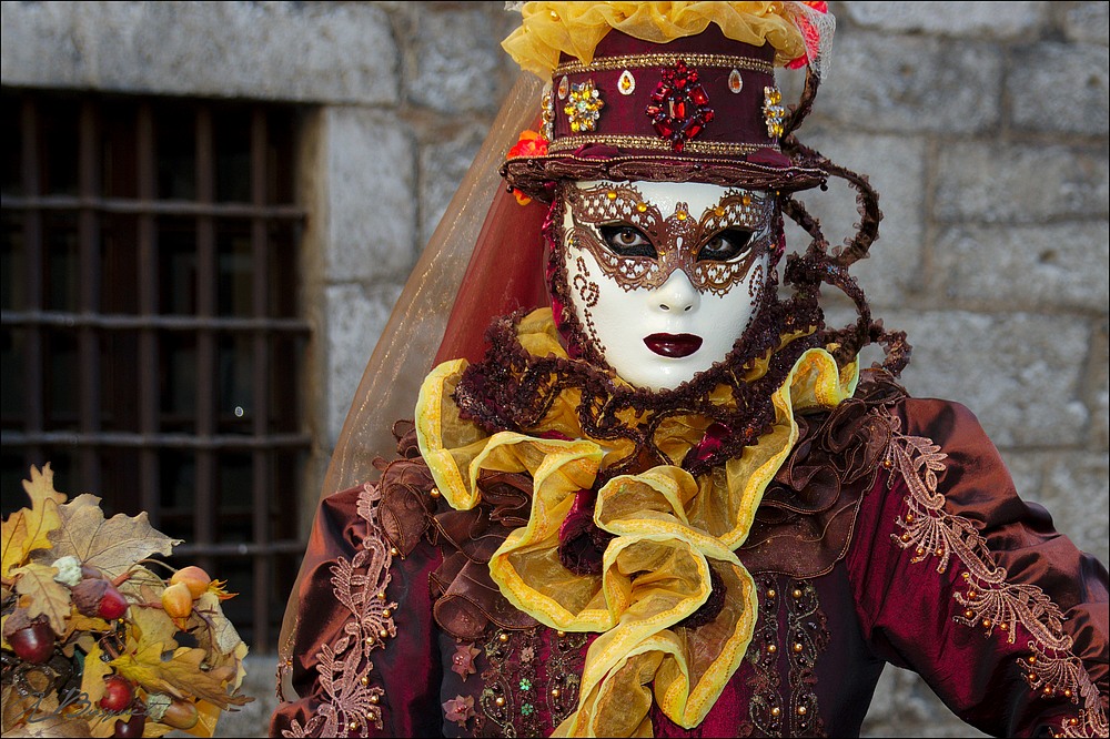 2016_0221_Carnaval_Annecy_JLUC8867_01_1000.jpg