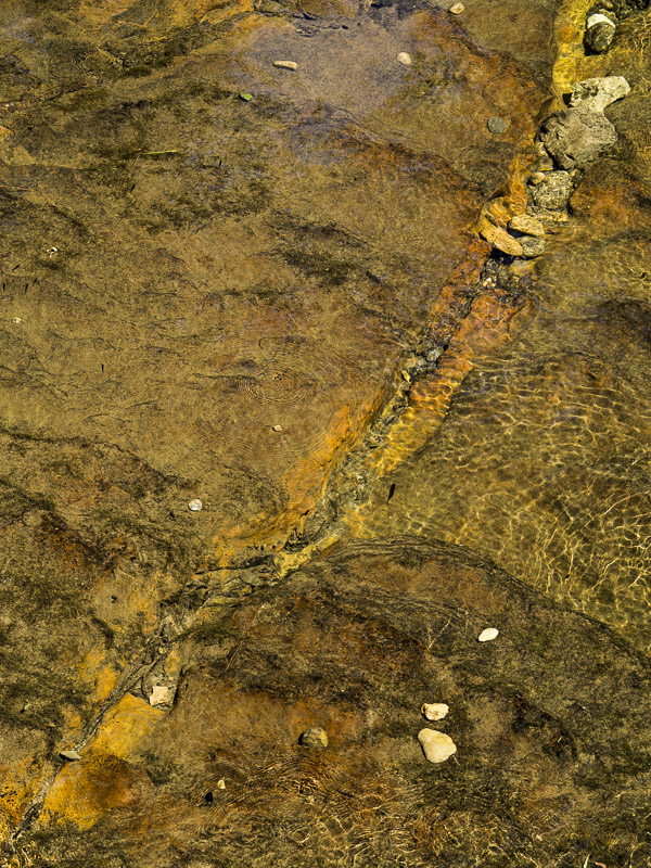Texture -2.jpg