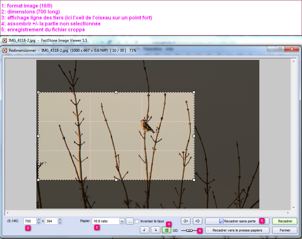 FastStone Viewer Recadrer (copie écran).jpg