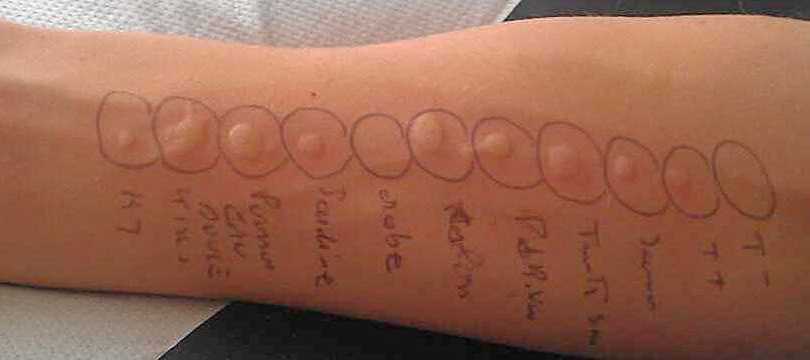 V---A L- P------P-, R----R D-- A----G---.jpg