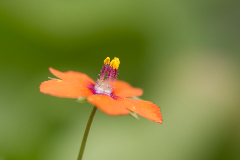 20130616-1774.jpg