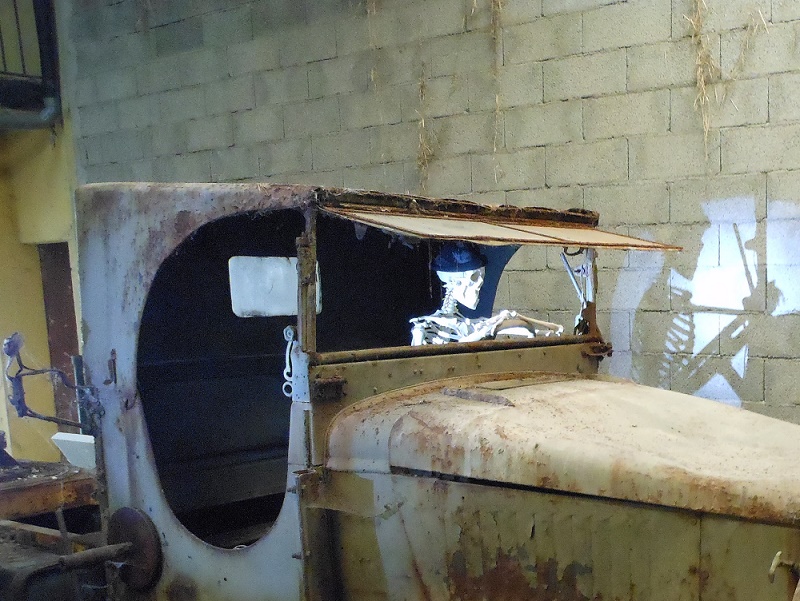 photo dans l'ain (35).jpg