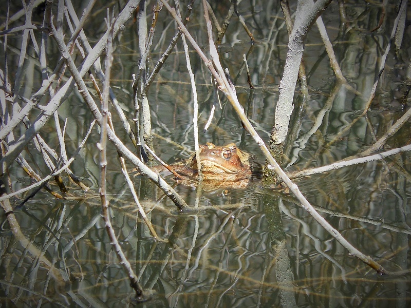 photo dans l'ain (36).jpg