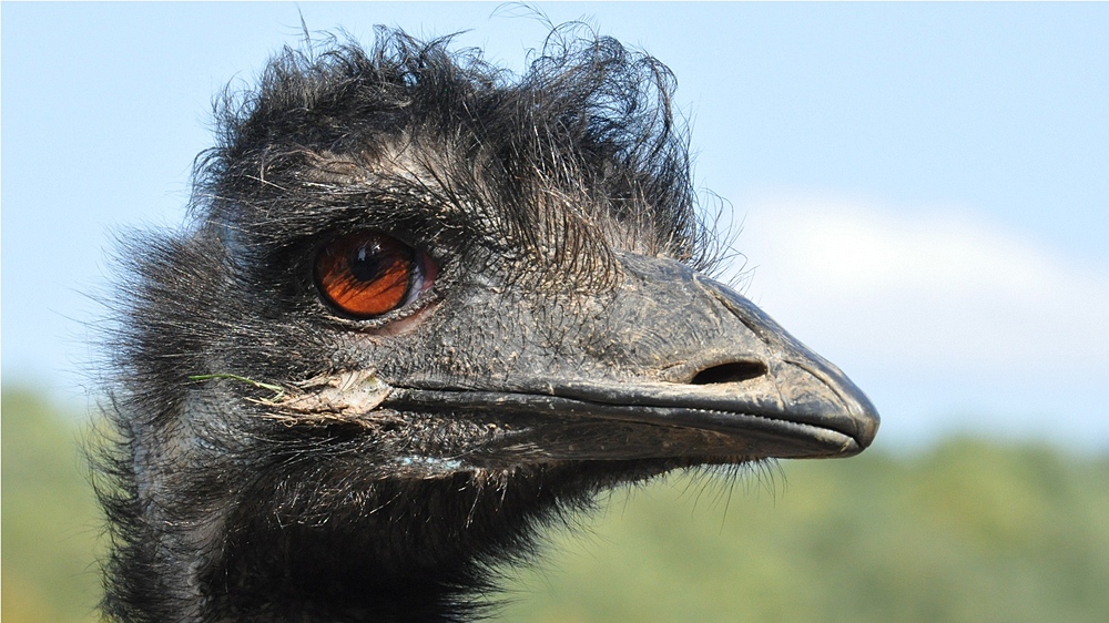 -'-- -'----X ---X T- S---.jpg