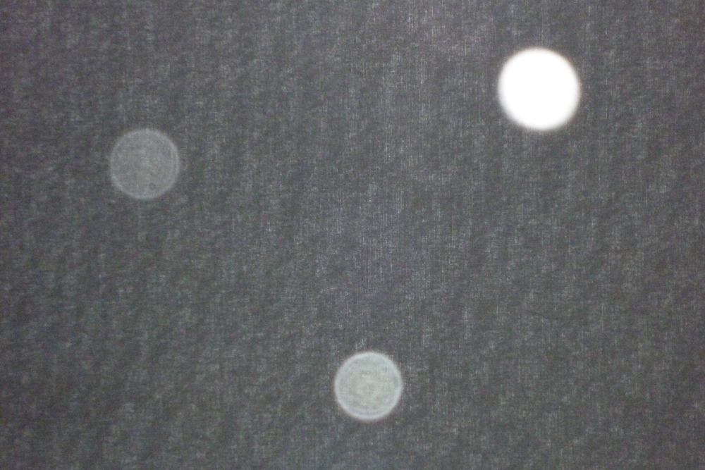 Photo.jpg
