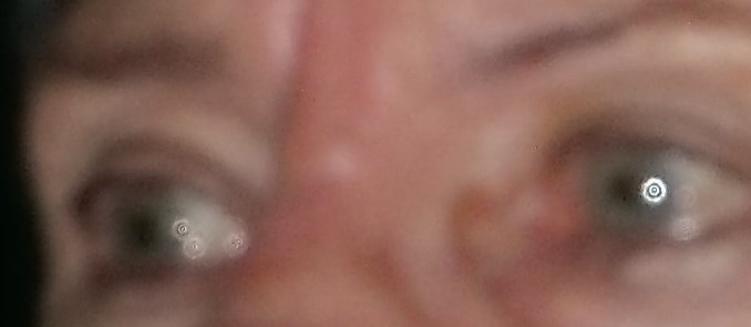 GEDC2818 - Copie (678x295).jpg