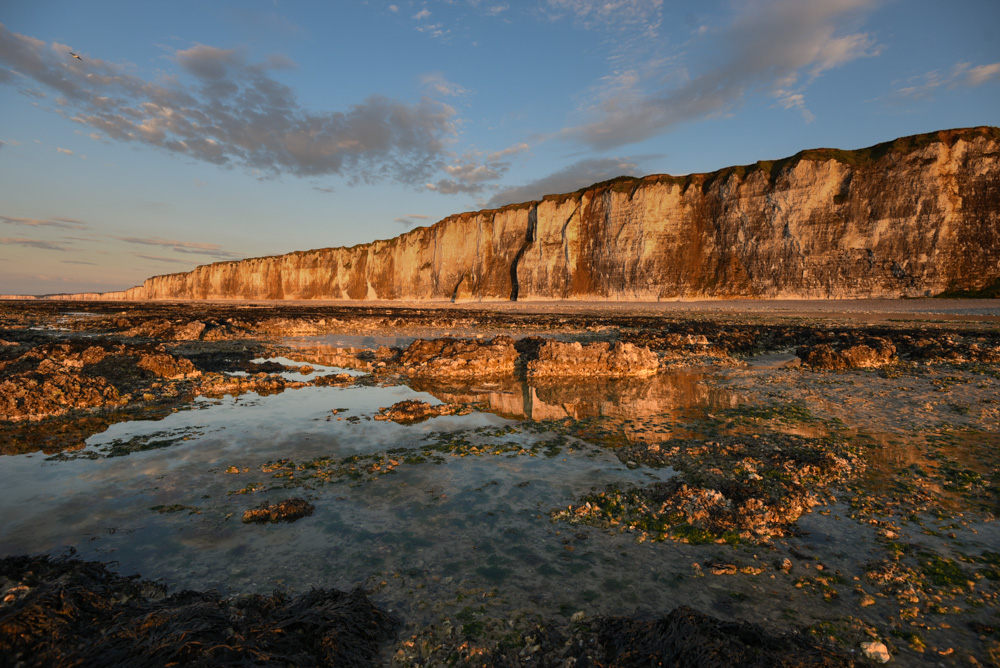 Rougetois - filipeuceu.jpg