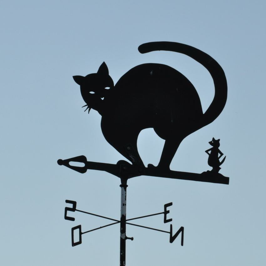 cherchez erreur 002 original.JPG