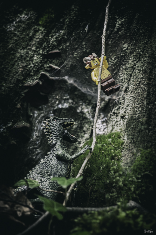 16juillet_MG_2318-Modifier.jpg