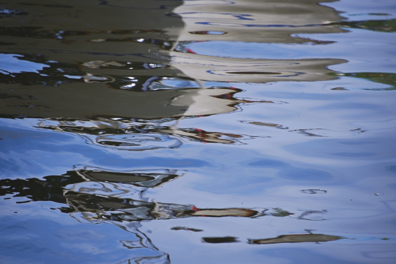 DSC_5339.JPG
