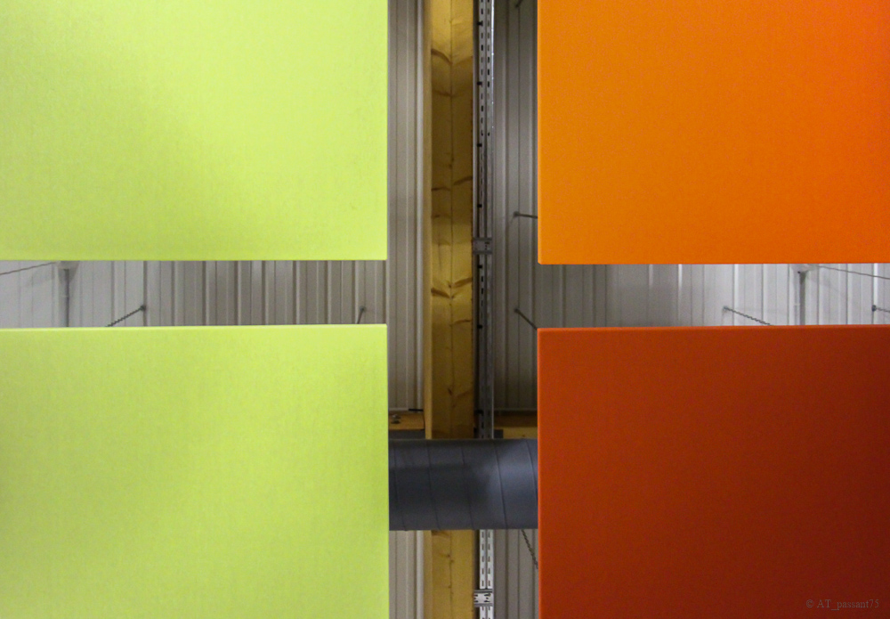 Araignee au plafond-1.jpg