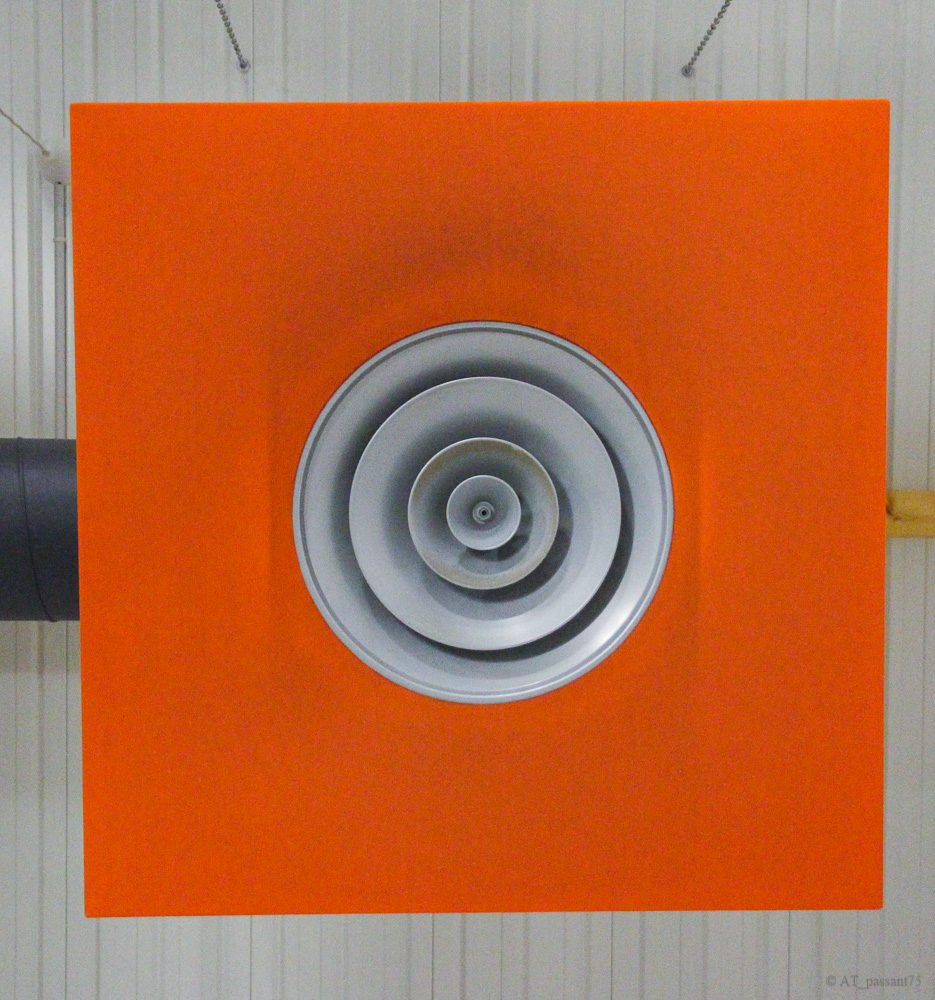 Araignee au plafond-2.jpg