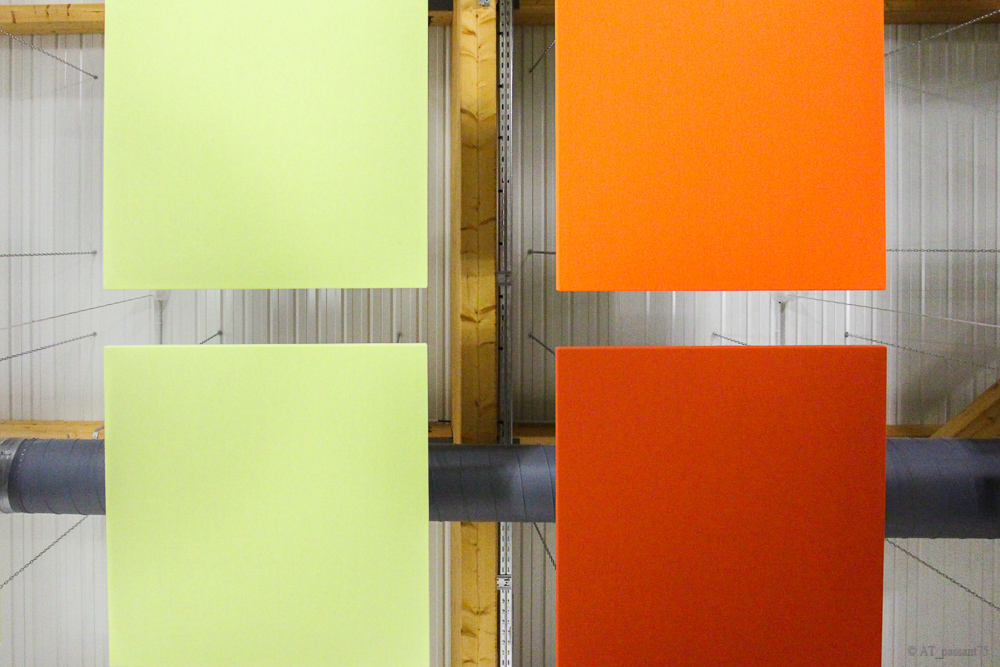 Araignee au plafond-3.jpg