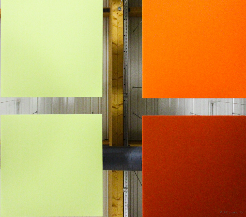 Araignee au plafond-4.jpg