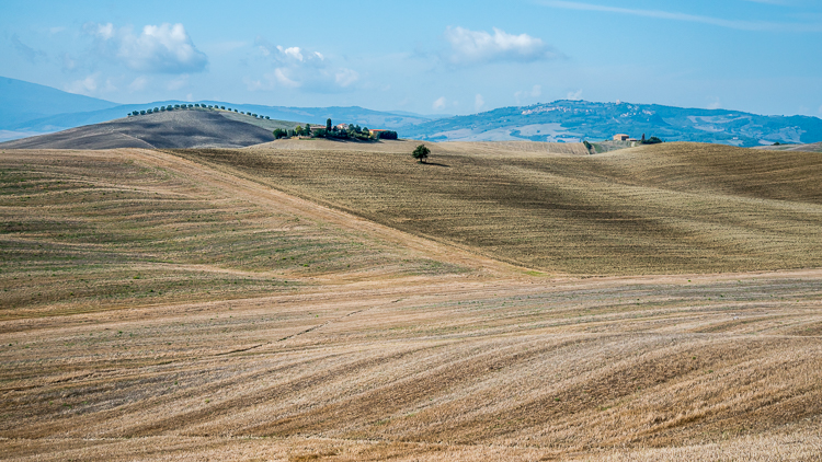 Toscane Champs de Ble-1.jpg
