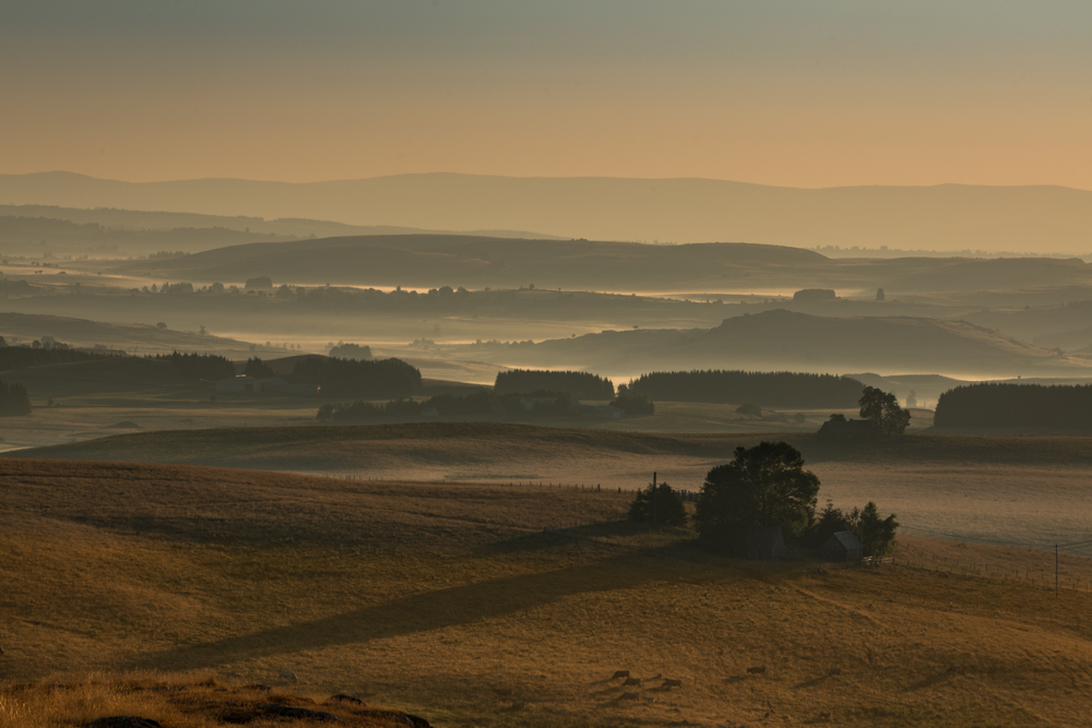 DSC_3217.jpg