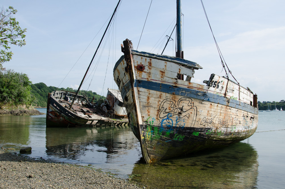 DSC_3643.jpg