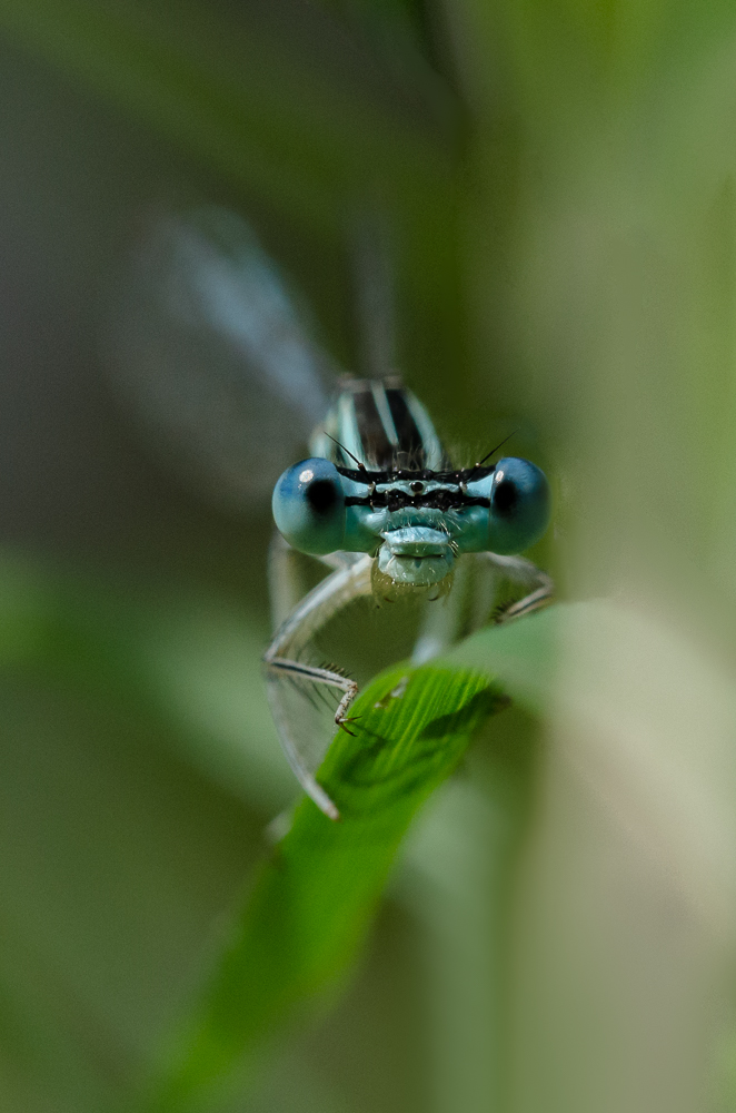 Michel du 35-Modifier.jpg