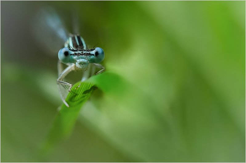 Export vers OOP-2.jpg