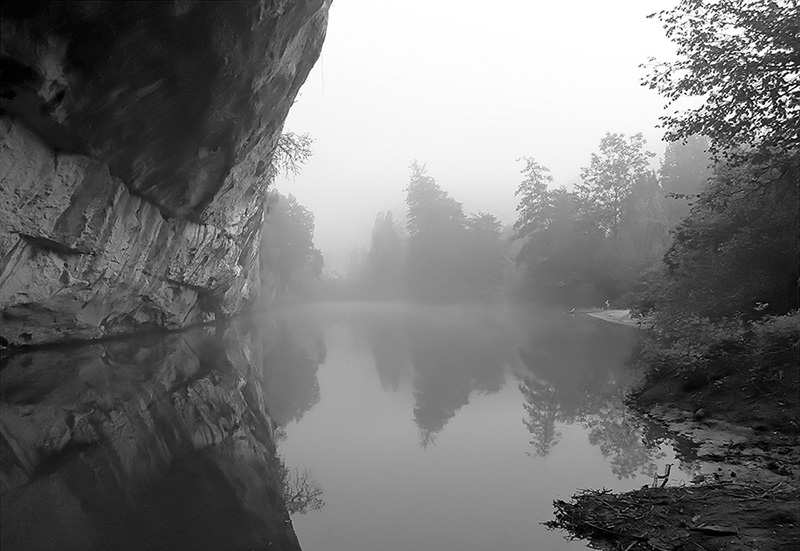 Matin brumeux(2).jpg