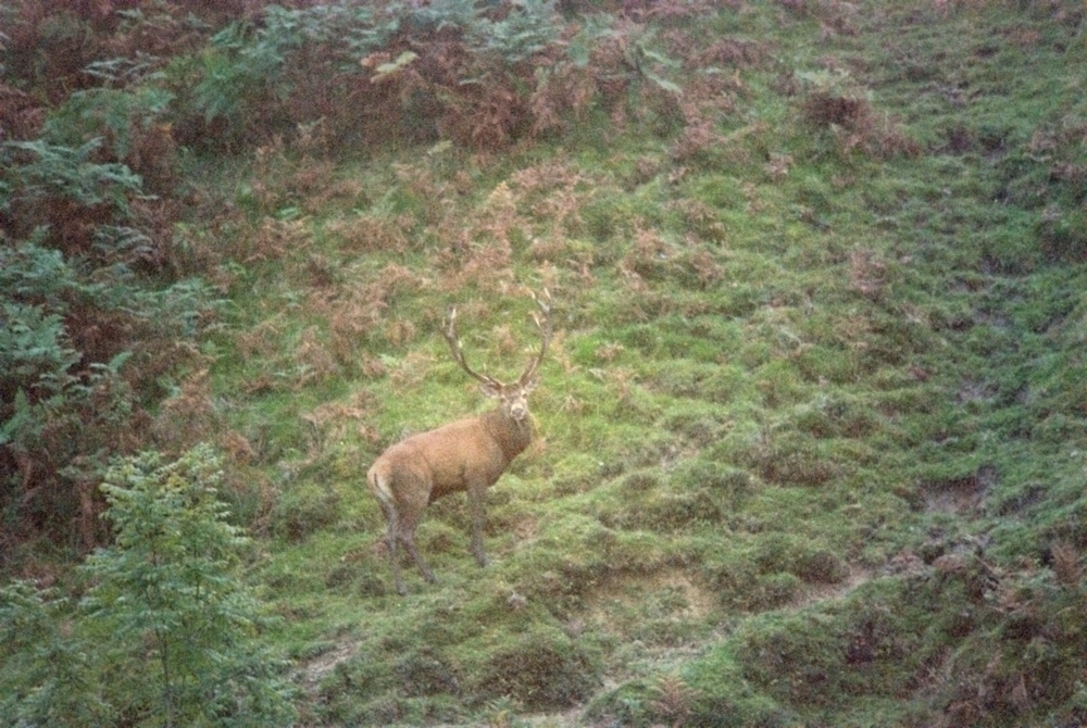 1000 remi65110 retouche orange.jpg