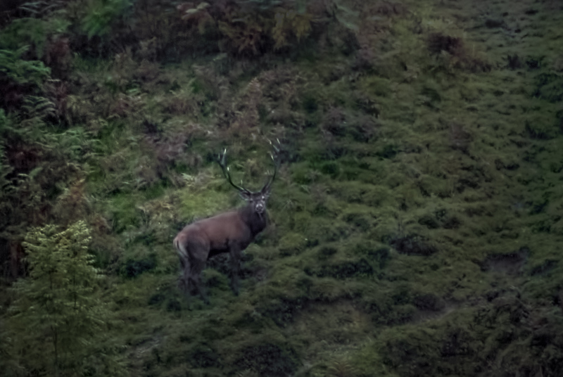 Proposition Rémi.jpg