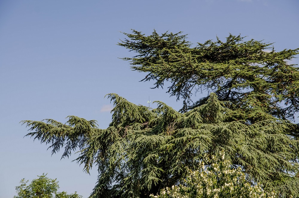 DSC_4839_filtered [ouioui].jpg
