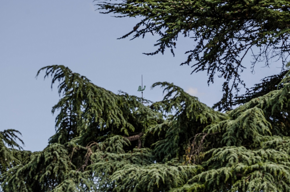 DSC_4837_filtered [ouioui].jpg
