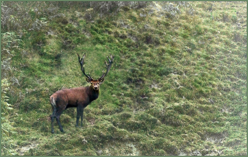 Export vers OOP-2.jpg