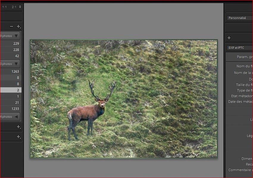 Export vers OOP-3.jpg