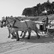 dsc_1052bis.jpg