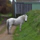 DSC_1055.jpg