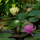 P2007227-Modifier.jpg