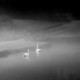 P8080305_Mist-Modifier.jpg