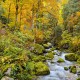 Le Guiers Vif 20261027__0065_02.jpg